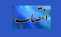دکتر مرجان مهدوی روشن مسوول مرکز مدیریت امور هیات علمی معاونت آموزشی دانشگاه علوم پزشکی گیلان شد